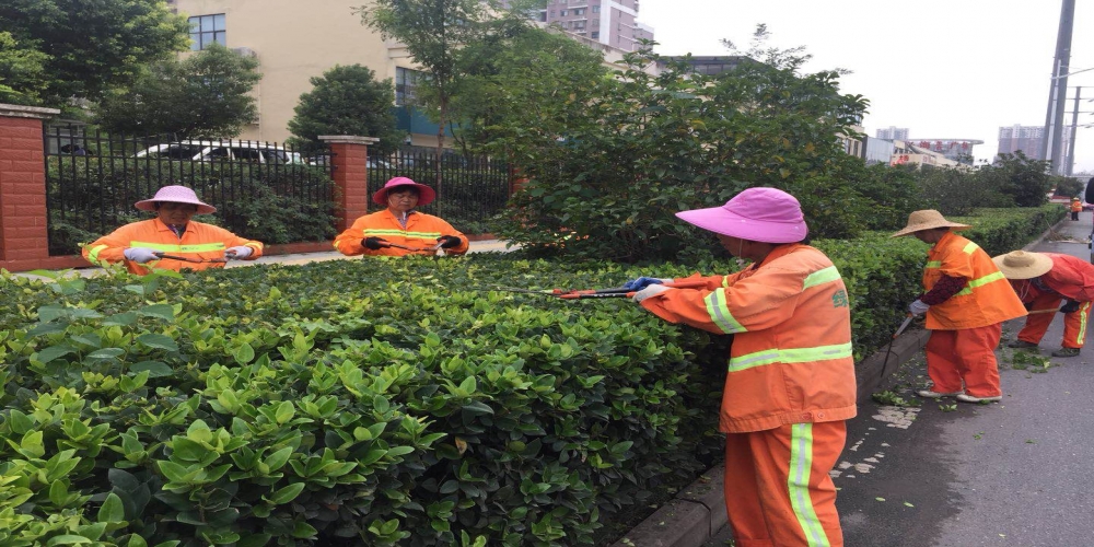 新站區(qū)道路清掃保潔、綠化管養(yǎng)項(xiàng)目